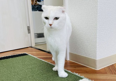 5CF001B6-DC4E-4ED9-BD1D-163942937EC7