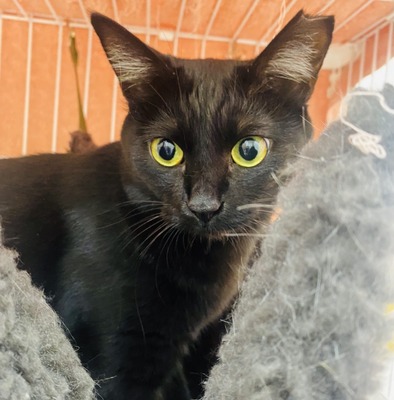 6F90CD5A-CCC9-47D2-95CE-F51F2CEF3209