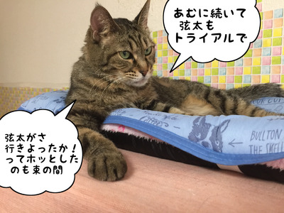 DD09497E-C3EE-484C-B075-0DF04D62C7B3