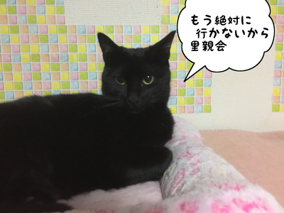 08FF3F78-E9C8-4ECC-AE98-8C01F4A2FEB8