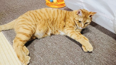 IMG_8434