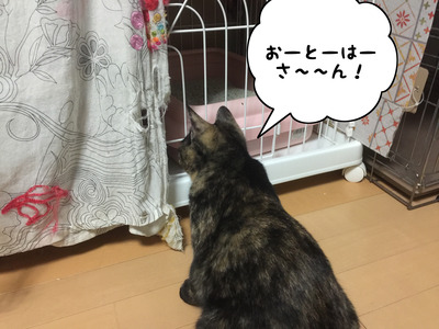3B7F24EF-33AB-48CD-A05A-C89BCCB2DD8C