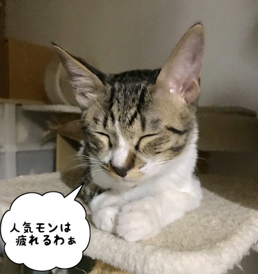 31EB8349-83A8-4328-939C-E4ED549508DE