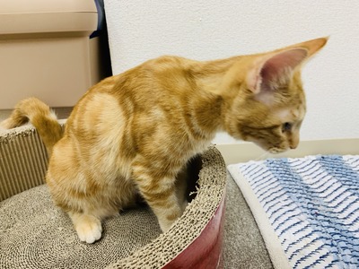 6BF203FB-42D4-40B0-866E-B4B915DD532F
