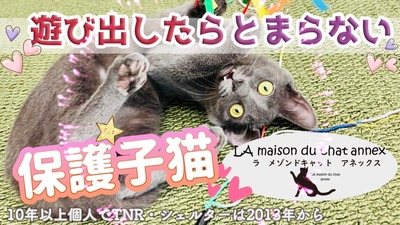6FFBB7FF-F8C6-41C6-B077-DB351673488E