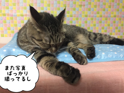 AD6BFC3B-E8D8-4335-A575-E60B2FC561E7