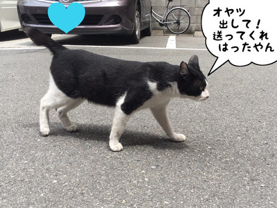 C390DD34-2BCA-4340-AB5A-F3F1AD0D687D