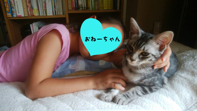 F9923965-A397-49CF-8A4F-0C0E97864FE5