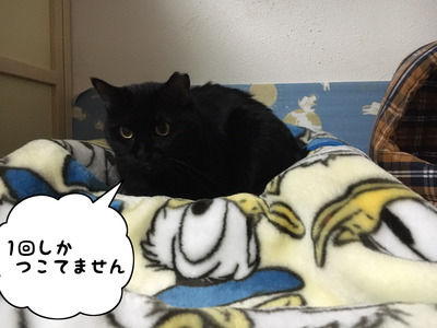 C13839DF-C8C0-4FF8-AE06-1FB762A4236D