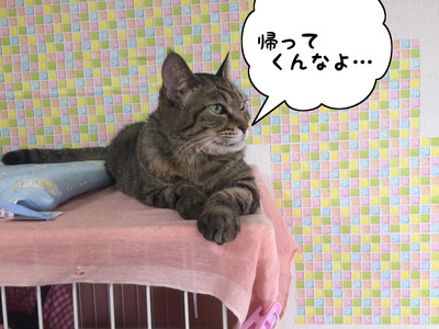 64465E0C-34FC-4FB9-9598-79F598DC956D