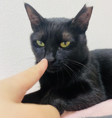 79C68469-37FF-4256-AF06-3E507982B5FA