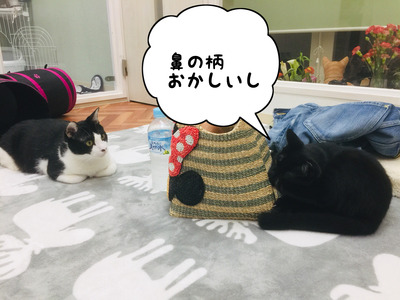 D4BB0601-A6CC-4335-825C-766B65A6B8D5