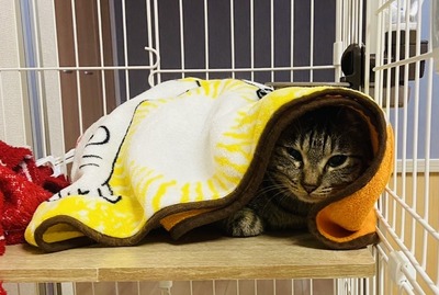 IMG_5642