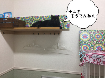 576AD8AD-79AE-4C92-A5A4-7A5DCC3E0C4C