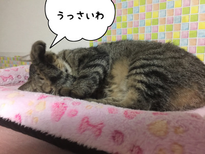 778D9A60-88B6-4854-95B1-1802807ADCFF