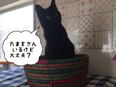 F518E6D9-A829-4E1B-B150-370132A928DA
