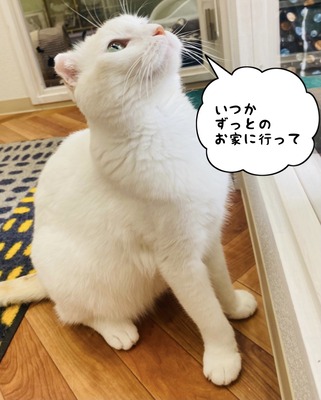 8197A083-5DDF-4B73-9CF1-5F3A8696DF8F