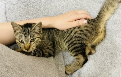 AEF73B7B-BFBB-437B-B9EC-30A122BEB8EF