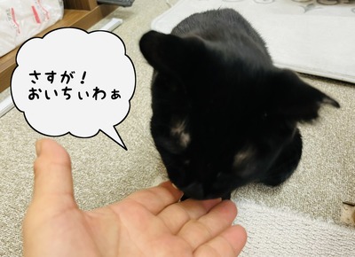 B965D8EC-9418-40D6-BAA7-68FC22962AC0