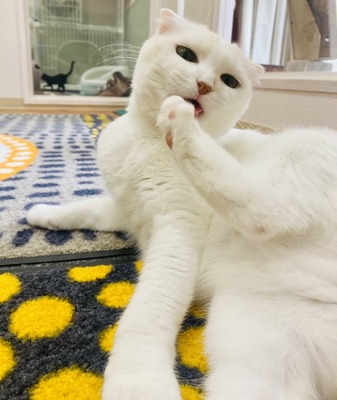 79469AC2-C9A4-46FB-94ED-9C43C529854D