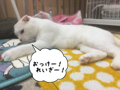 5809F672-3DA3-4892-AE1C-1F9D3A7B5A97