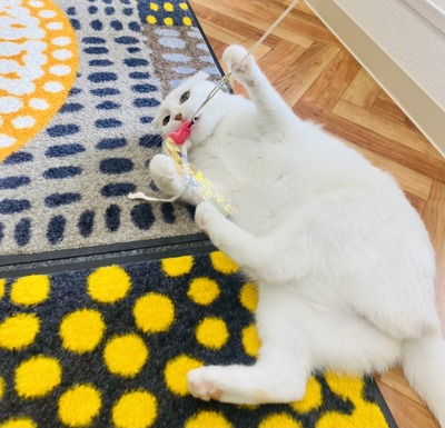 A8584DD5-E39D-456B-9504-0EB5F0A2EA1A