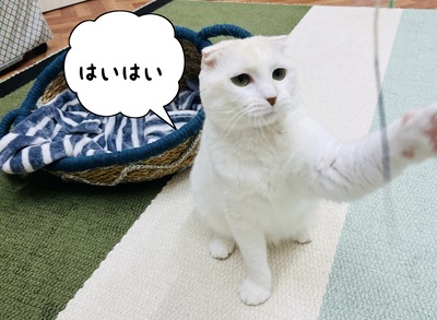 E5ABE25E-BDB3-4B0B-9636-A4B288907356