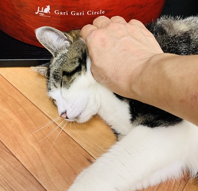 2CB15A45-0CD5-4A1E-B070-99CCBA325F04