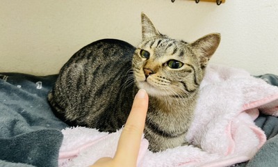 IMG_1772
