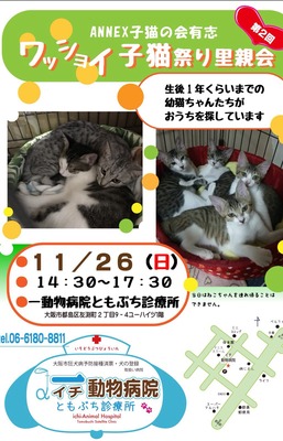 7B9B974F-7C0B-442C-8E24-337200484F6B