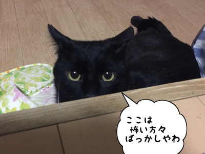 2779934F-3700-4308-983D-17362BFEE58C