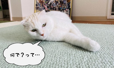 CD2B9A9A-7578-471D-8E98-77509E92637D