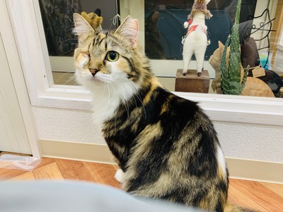 125D1922-F6E6-4231-A8C0-4FB0B76E9F37