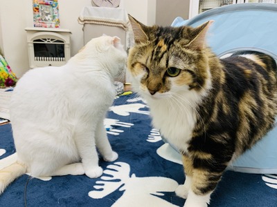 75097256-ACEF-40B6-8D6E-5F4360AA85D9