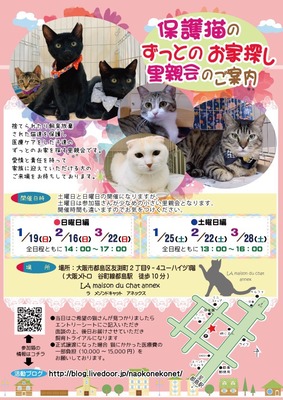 3BBBF7CC-43C5-4192-993A-9CD52D1B6F4B