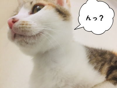 4F0E927B-5998-468E-A343-6D4F52B2F66E