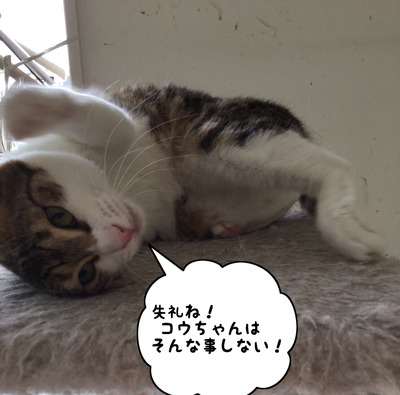 B6A4E1F5-4F96-4DB7-9B1E-BC291BC6CEAE