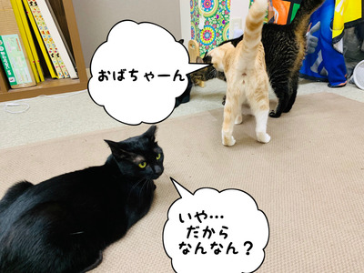 B054EE3F-231A-4F09-A646-7FB5488098F3