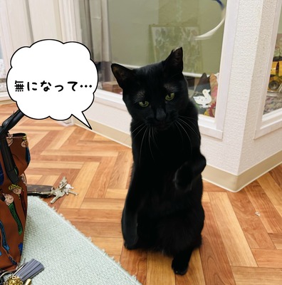 4BF4F03B-3292-48BE-BD4A-617C5F5AA00F