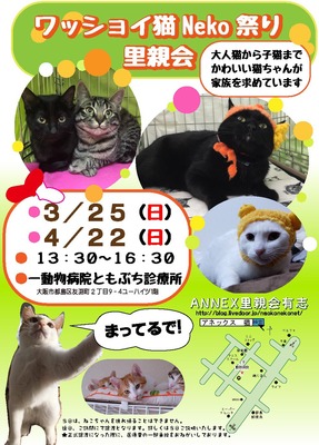 41E9B7FC-B5E2-4222-9E34-C2033199EB0C