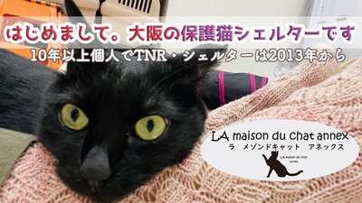 C80A2016-F85A-4B58-9588-59EFA1E0343B