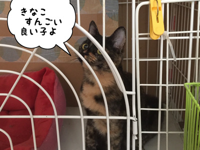 C2552060-78EF-42B7-9250-0EB49937AD10