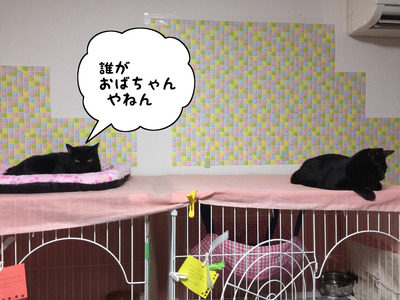 75A943C1-829B-4526-81AB-8E56147695B3