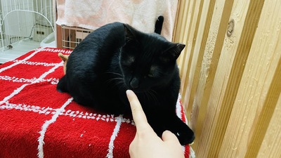 IMG_9819
