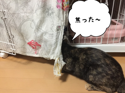 EBE6FA7B-73BA-42D9-8C0D-55AE35C29377