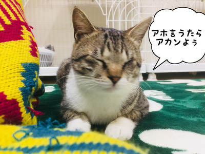 7CA7862E-FA13-4388-9C6B-7D8E05904E47