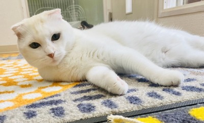 D144EED3-85A6-482A-9718-78C8FD2FEDCE