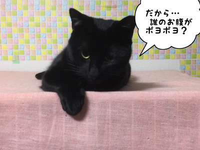 2DE0F0A0-5B27-4949-A719-34707E36C7C3