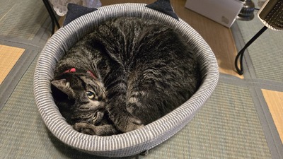 IMG_3067