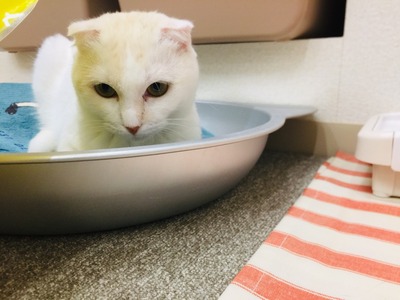 71CBBA56-0DDC-4418-AAF9-C51BAFFAA5DA